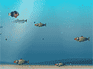 เกมส์ Fish Adventure