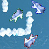 เกมส์ Polar Bear Racing
