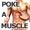 เกมส์ Poke-A-Muscle