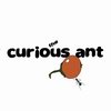 เกมส์ the curious ant
