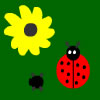 เกมส์ Ladybug - TPC