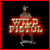 เกมส์ Wild Pistol