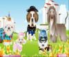 เกมส์ Pets In The City