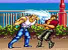 เกมส์ Karate Blazers