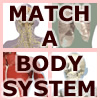 เกมส์ Match-A-BodySystem