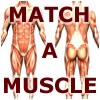 เกมส์ Match-A-Muscle