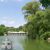 เกมส์ Centralpark Jigsaw