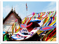 ประเพณีผีขนน้ำ บ้านนาซ่าว