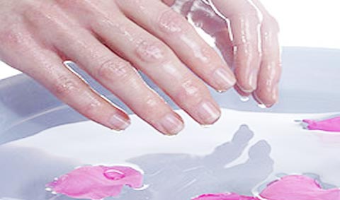 ดูแลมือ เล็บ ดูแลมือ เล็บ
