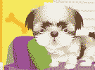 เกมส์ Pets Shop