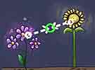 เกมส์ ปลูกดอกไม้ Seed