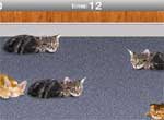 เกมส์ Wake Up, Pussycat! Poke Poke