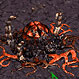 เกมส์ Starcraft 5