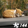 เกมส์ Jigsaw: Sleepy Cat