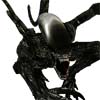 เกมส์ Aliens VS Predator