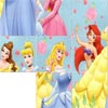 เกมส์ Princess Slide