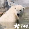 เกมส์ Jigsaw: Polar Bear 2