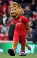 Mascot_12