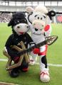 Mascot_19