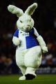 Mascot_1