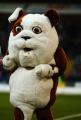 Mascot_20
