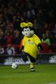 Mascot_2