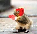 Boxing_2