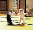 boxing_5