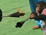 animal_olympics_14