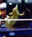 animal_olympics_1