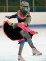 animal_olympics_6