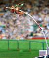 animal_olympics_8