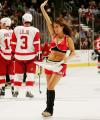 Pretty_NHL_10