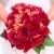 Let’s celebrate your LOVE Season !!