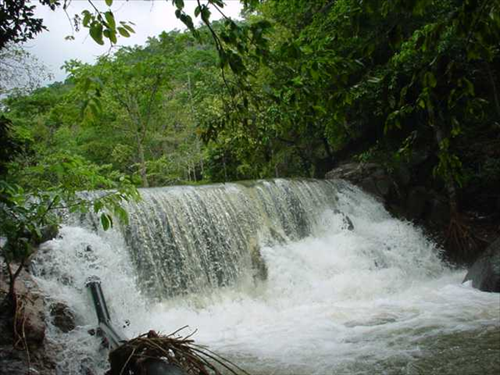 อุทยานแห่งชาติน้ำตกห้วยยาง