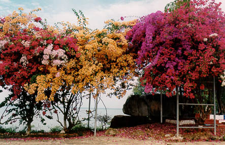 หาดลานทราย