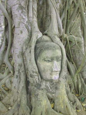 วัดมหาธาตุ