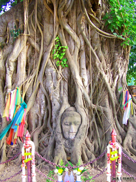วัดมหาธาตุ