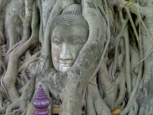 วัดมหาธาตุ