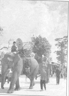 พระที่นั่งทรงปืน