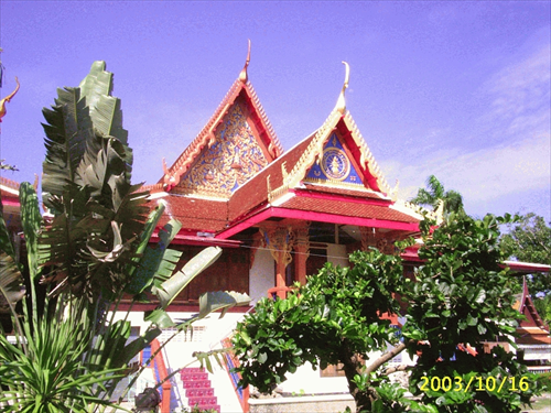 อุทยานมัจฉาวัดป่าพฤกษ์