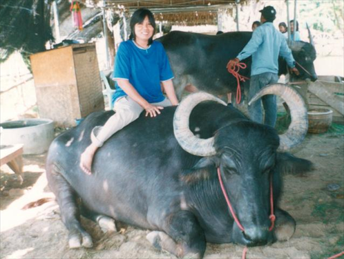 บ้านควาย