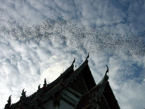 เขาช่องพราน