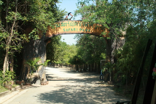 สวนสัตว์เปิดซาฟารีปาร์ค