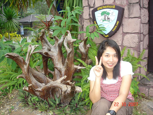 ประมวลภาพ ทริปพลพรรค รักภูกระดึง 2007