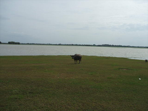 พิพิธภัณฑ์บ้านเชียงเหียน