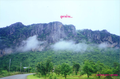ผานกเค้า