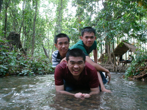 ผานกเค้า