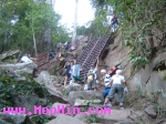 ผานกเค้า