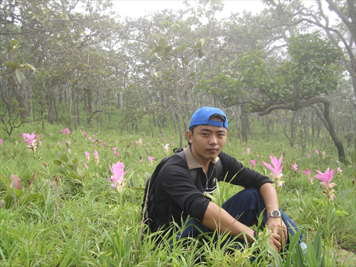 ป่าหินงาม